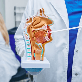 ENT & Endoscopic Skull Base Surgery
