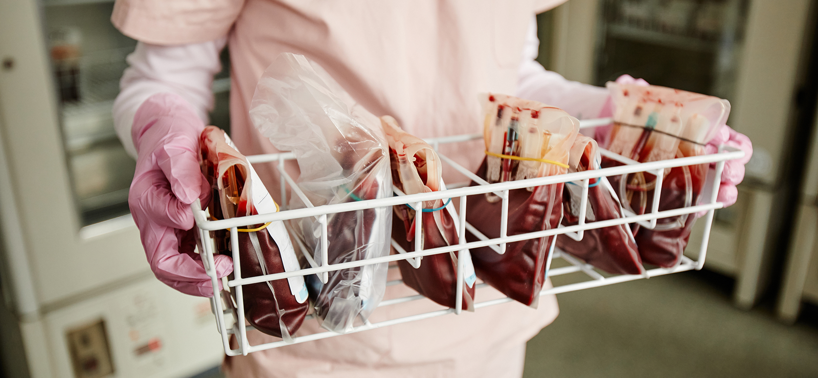 Support & Ancillary Services